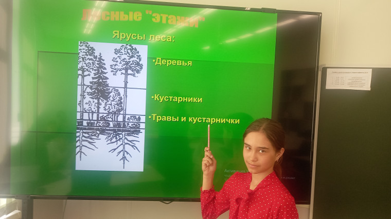 Игра "Путешествие в природу".